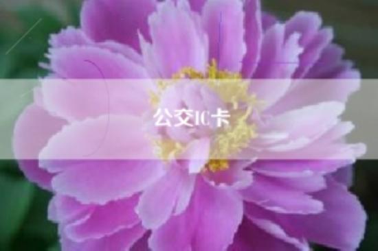 公交IC卡