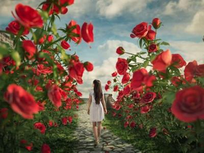 【经典】对于容貌焦虑的感悟（关于容貌焦虑的自我感受）