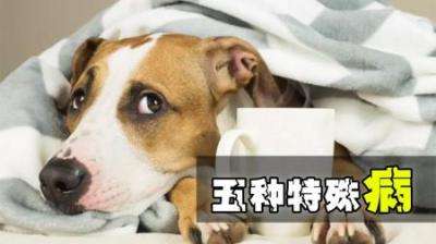 五种能让人获得“超能力”的病，你最羡慕哪一种？