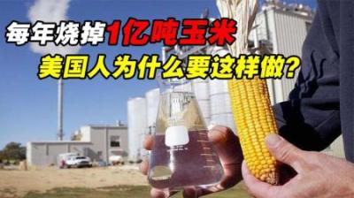 全球粮荒，美国却在烧玉米，数量超1亿吨，这究竟是什么原因