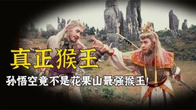花果山猴王并不是孙悟空？真正主人法力高强，只有如来才知道真相