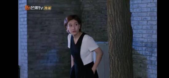 《舒克与桃花》_第31集_分集剧情