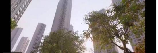 《小风暴之时间的玫瑰》_第14集_分集剧情