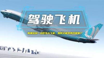 如果捡到一台野生大飞机，如何才能将其开回家？