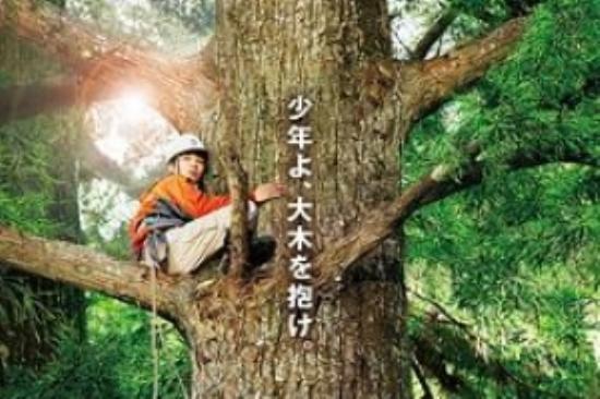 剧情《哪啊哪啊神去村》电影解说文案