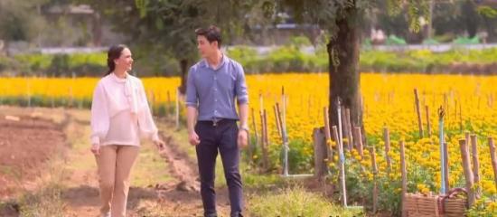 《云霄之恋》_第31集_分集剧情