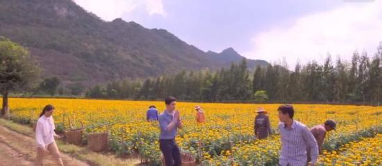 《云霄之恋》_第35集_分集剧情