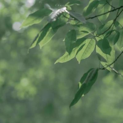 【爱情】雪中悍刀行经典语录讲道理（雪中悍刀行经典语录江湖再见）