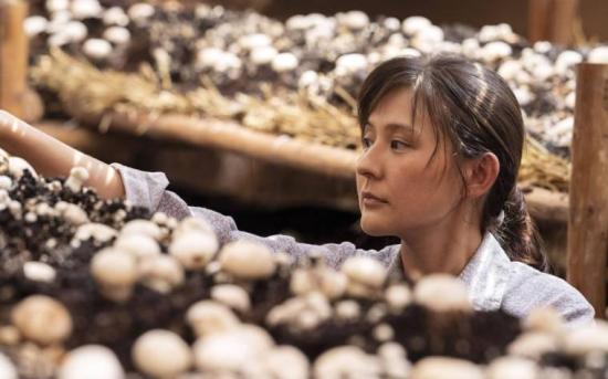 《山海情》_第22集_分集剧情