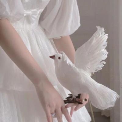 【唯美】军人站直的唯美句子（军人的句子经典语录）