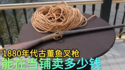《1880鱼叉枪：当铺传奇，保守估价背后的真相》