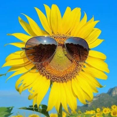 【唯美】亮眼的经典语录（简短惊艳的经典语录）