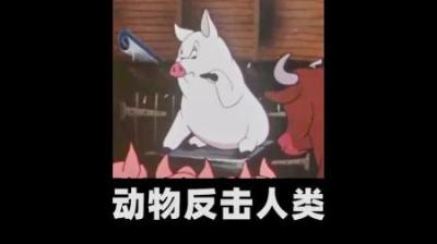 动物组队反击人类的故事#动画解说 #怀旧动画 #讽刺短片