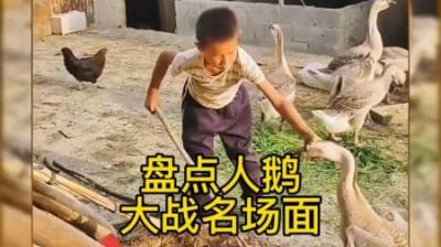 如果你被鹅群攻击，你能对付几只呢？