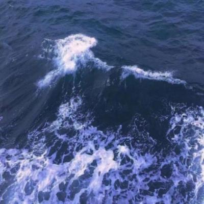 【唯美】闭着眼睛都能过的句子（睁一只眼闭一只眼的词句）