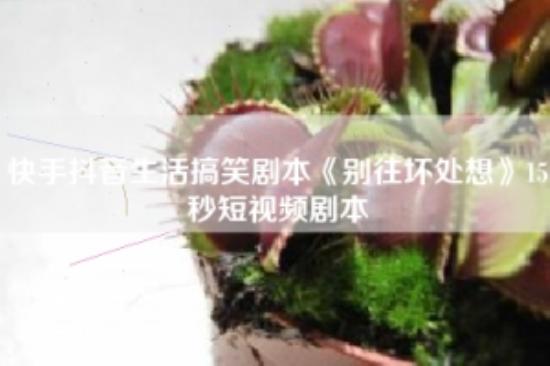 快手抖音生活搞笑剧本《别往坏处想》15秒短视频剧本