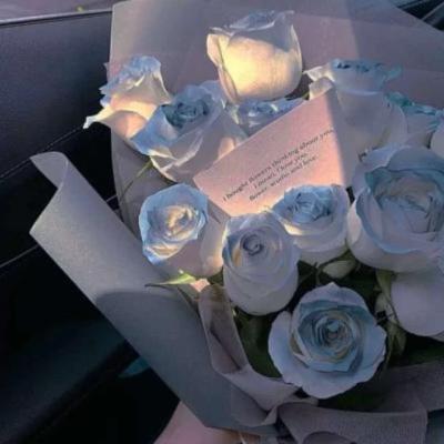 【感悟】牙齿喷砂的句子（牙齿经典语录）