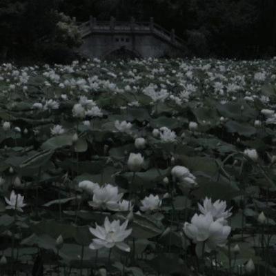 【感悟】赢在未来的文案（未来可期的文案）