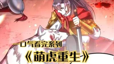 《萌虎重生》全集漫画解说_5