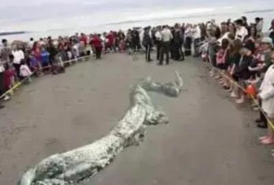 揭秘松花江坠龙真相:探寻江内神秘物种