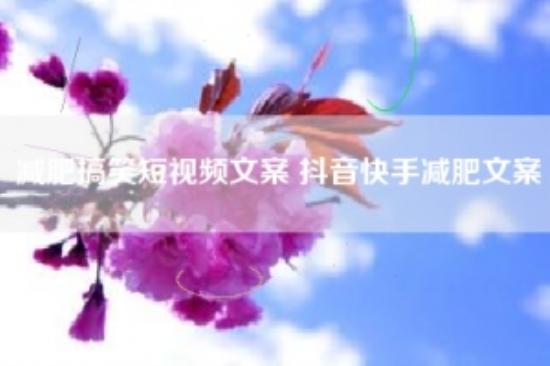 减肥搞笑短视频文案 抖音快手减肥文案