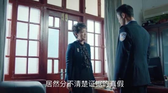 《巡回检察组》_第20集_分集剧情