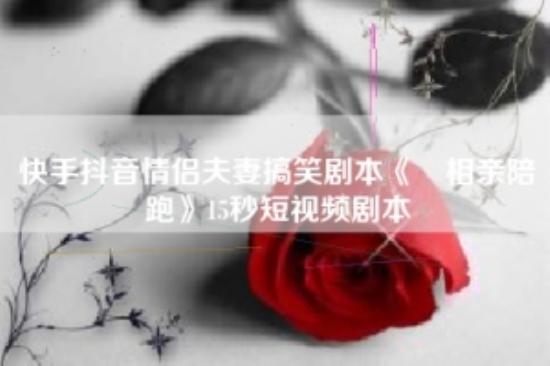 快手抖音情侣夫妻搞笑剧本《​相亲陪跑》15秒短视频剧本