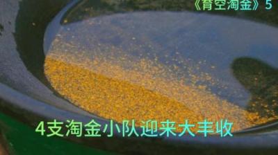 4只淘金小队在经历适应，与各种突发情况后，终于都迎来了收获