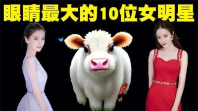 眼睛最大的10位女明星排行榜，第一名女星的眼睛简直和牛一样大！