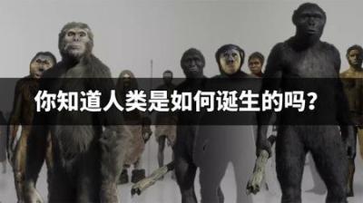 你知道人类是如何诞生的吗？