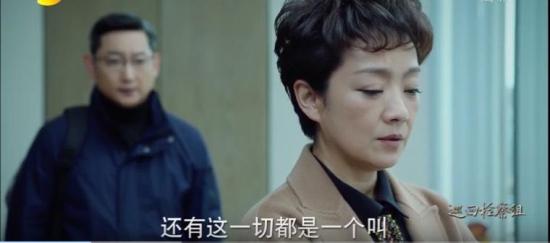 《巡回检察组》_第33集_分集剧情