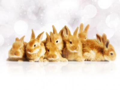 【感悟】红楼梦简介感悟（一句话总结红楼梦感受）