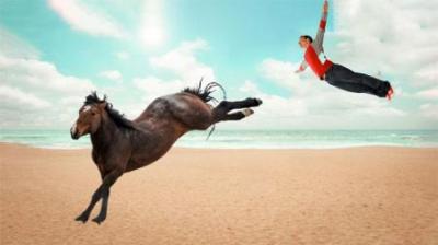 马儿的十大高光瞬间排行榜，它们才是驴马界的真英雄！