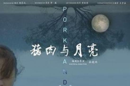 剧情《猪肉与月亮》电影解说文案