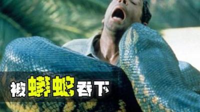 如果你在野外，突然被蟒蛇吞下，会发生什么？