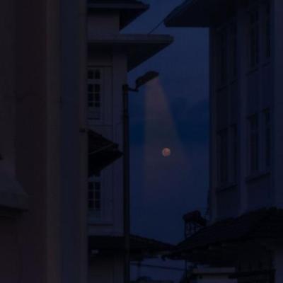 【爱情】祝福别人的恋爱的句子（祝福别人爱情短句）