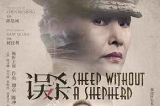 犯罪电影《误杀》解说文案