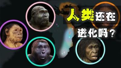 人类到现在还在进化吗？在未来有哪些形态？