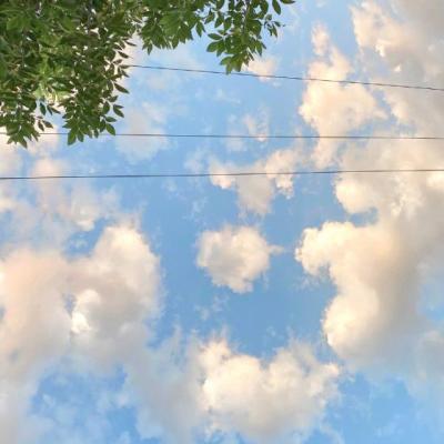 【正能量】失败乃成功之母的励志句子文案（失败乃成功之母励志句子）