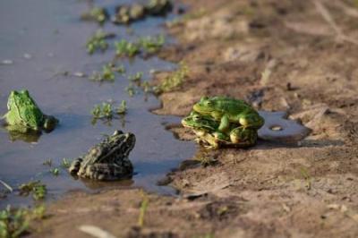 [短篇鬼故事]《长寿汤》