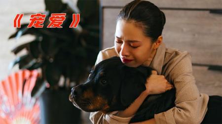 女主人出嫁狗狗吃醋，每天阻止她和老公亲热《宠爱》