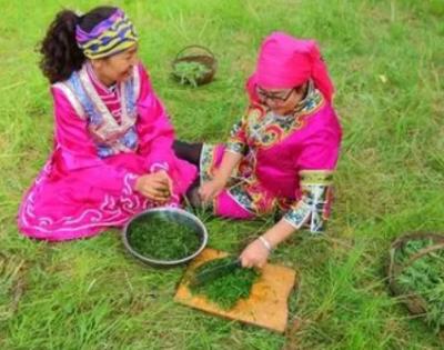 柳蒿芽与达斡尔人：一段深厚的文化渊源