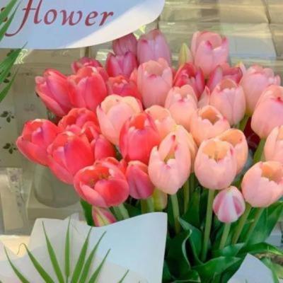 【伤感】喝不过酒的伤感文案句子（喝完酒伤感文案句句扎心）