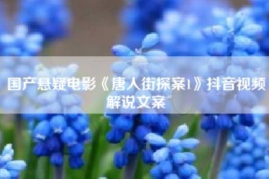 国产悬疑电影《唐人街探案1》抖音视频解说文案