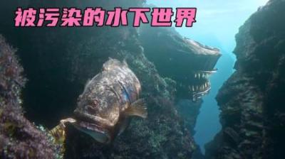 海洋还能承受多少污染？#动画解说 #动画 #海洋生物