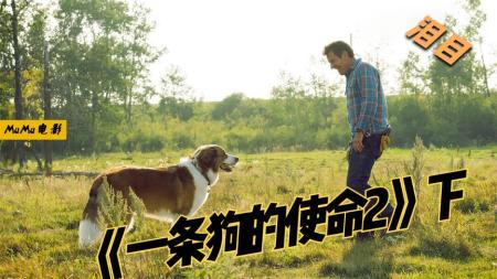 《一条狗的使命2》下：电影院哭跨所有人的电影，泪点低的慎看