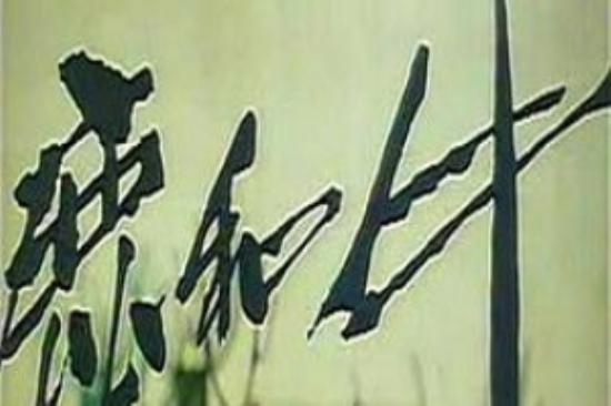 剧情《痴男怨女和牛》电影解说文案