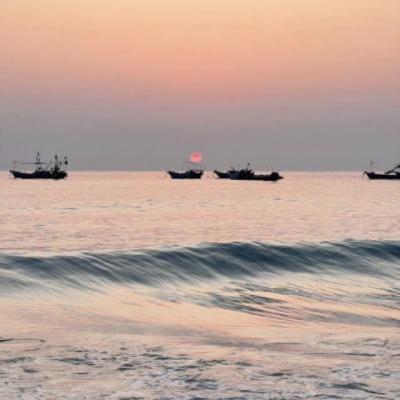 【爱情】雪中悍刀行经典告白语录（雪中悍刀行中的撩人语录）