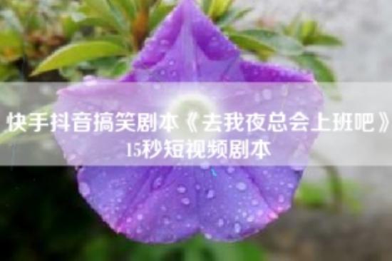 快手抖音搞笑剧本《去我夜总会上班吧》15秒短视频剧本