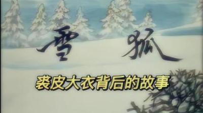 带你看看裘皮大衣背后残忍的故事